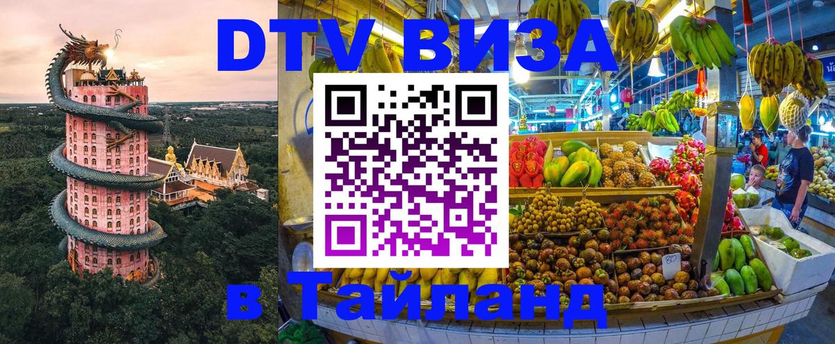 Оформление DTV визы под ключ: стоимость и тарифы, только загранпаспорт - Новошахтинск 